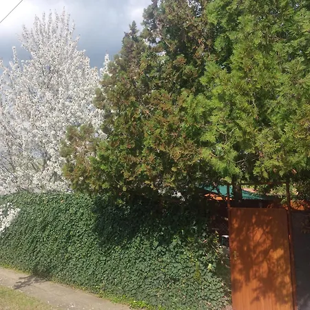 Daire Holiday Apartman Mórahalom
